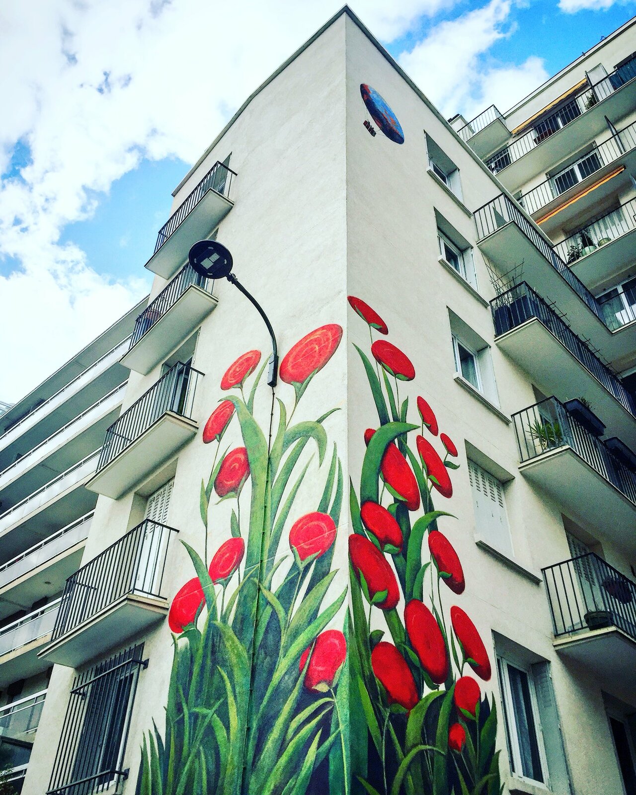 « Flowers » by #mercedesuribe #streetart #graffiti #spray #bombing #wall #sprayart #urbanart #graffitiart #streetphoto #urbanwalls #nirindastreet https://t.co/Ex0Q4gi88H