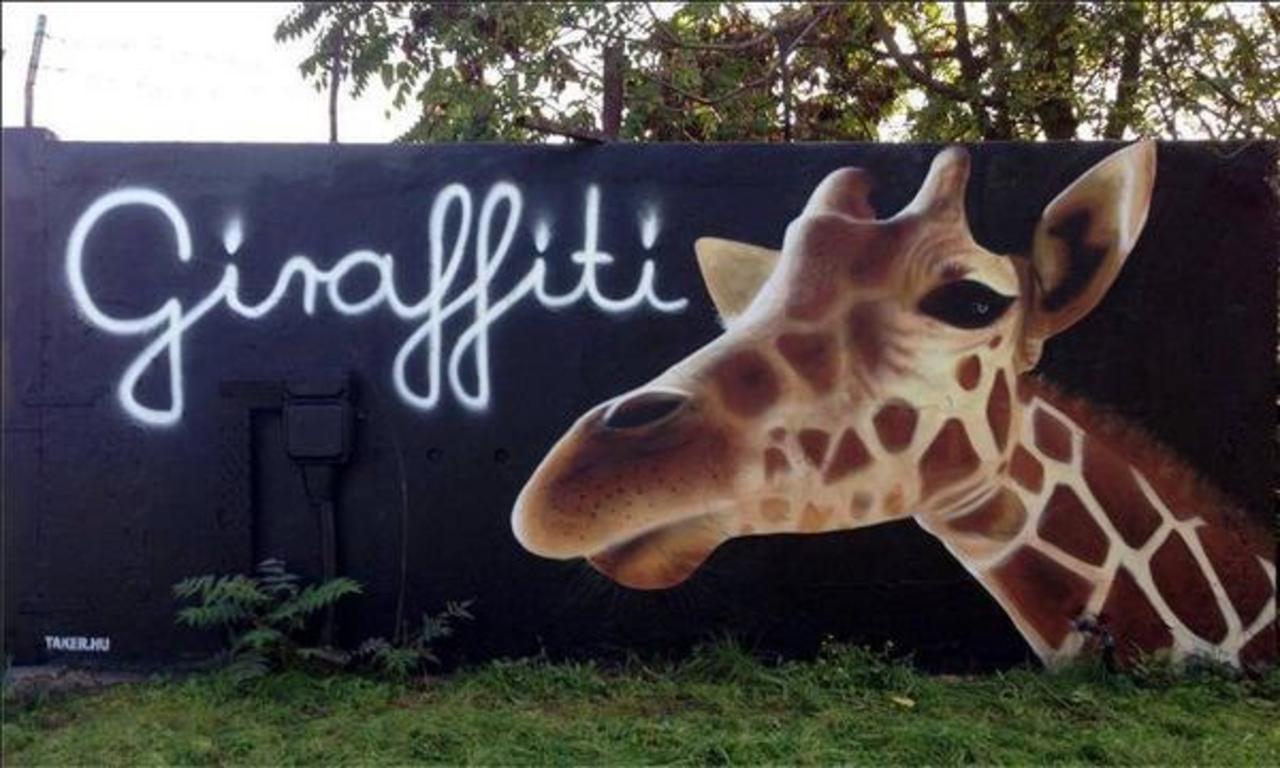 Funny coolness! :-) RT @upbyartists: GIRAFFITI #streetart #art #world #banksy #illustrator #Photo #wall #graffiti http://t.co/Wxake1ukdn