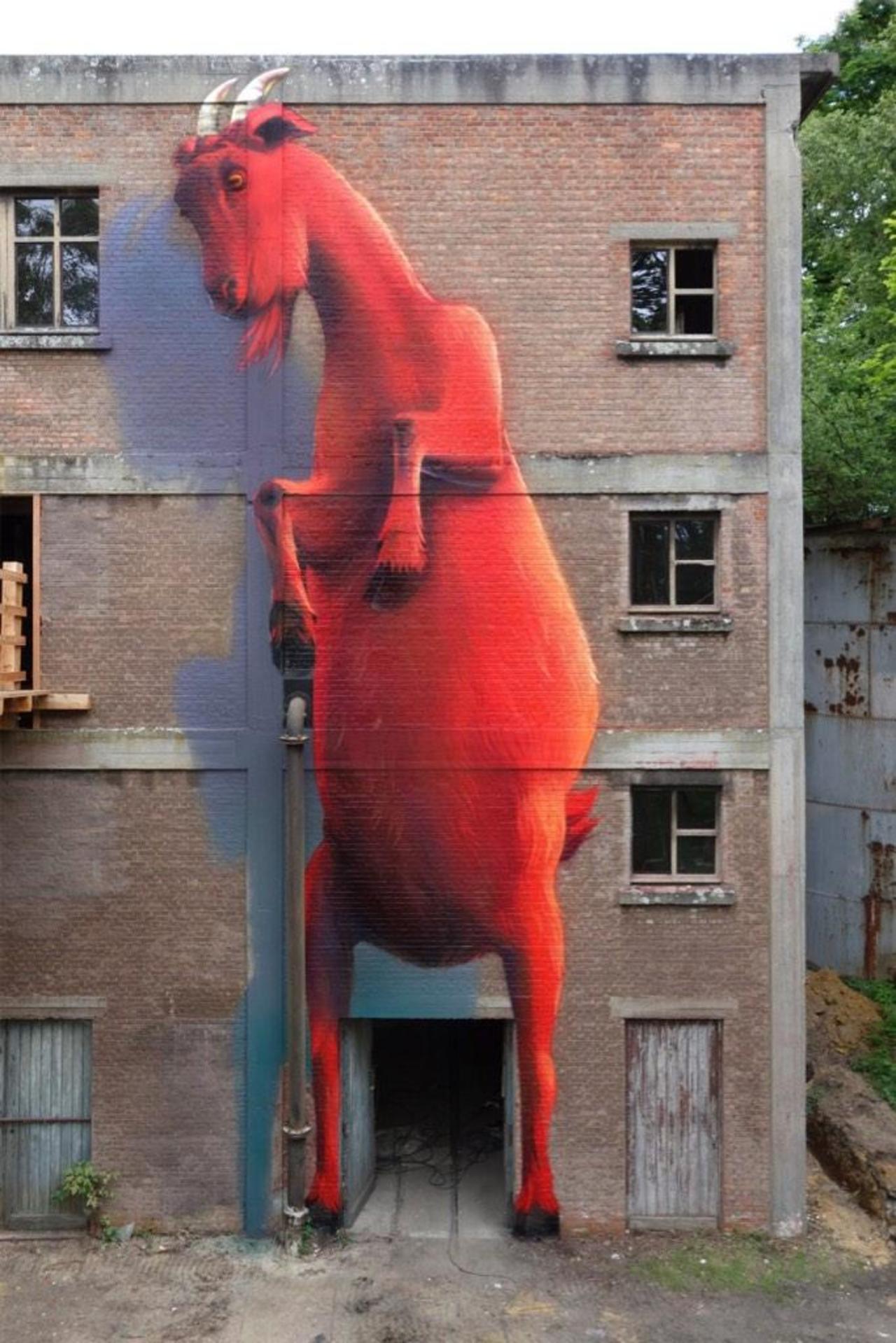 Super A / "Red Devil"
Mural for Street Art Festival Belgium at BLOSO Hofstade (BE)

#StreetArt #Art #graffiti #mural http://t.co/lufvOG4kh6