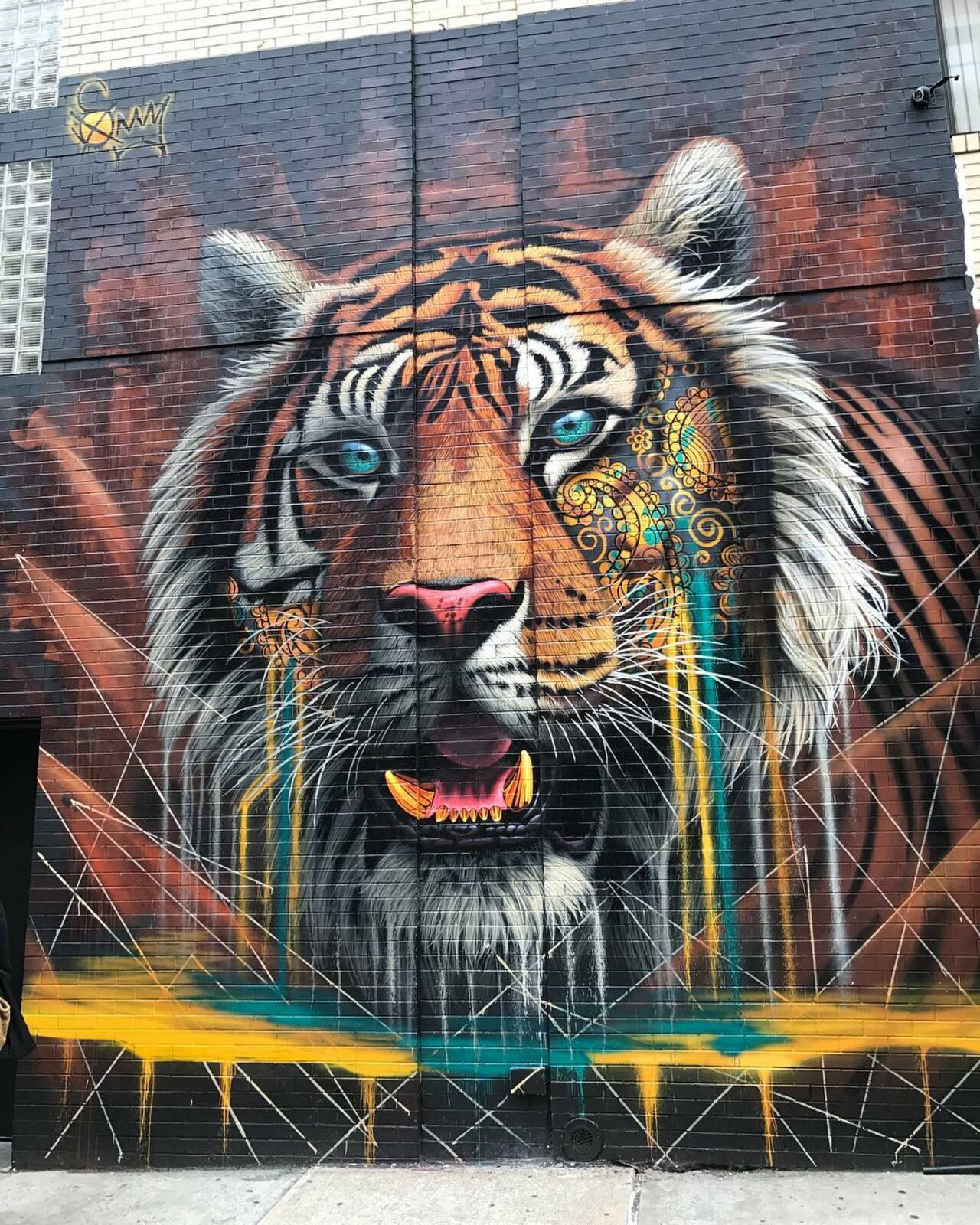 "Project CAT/LISA project NYC" - Mural Art by Sonny Sundancer in New York #art #artists #graffiti #nyc #artlovers #muralart #mural #urbanwalls #urbanart #streetart #streetphotography #wallart #artistsnartlovers https://t.co/dny7NzF9wr