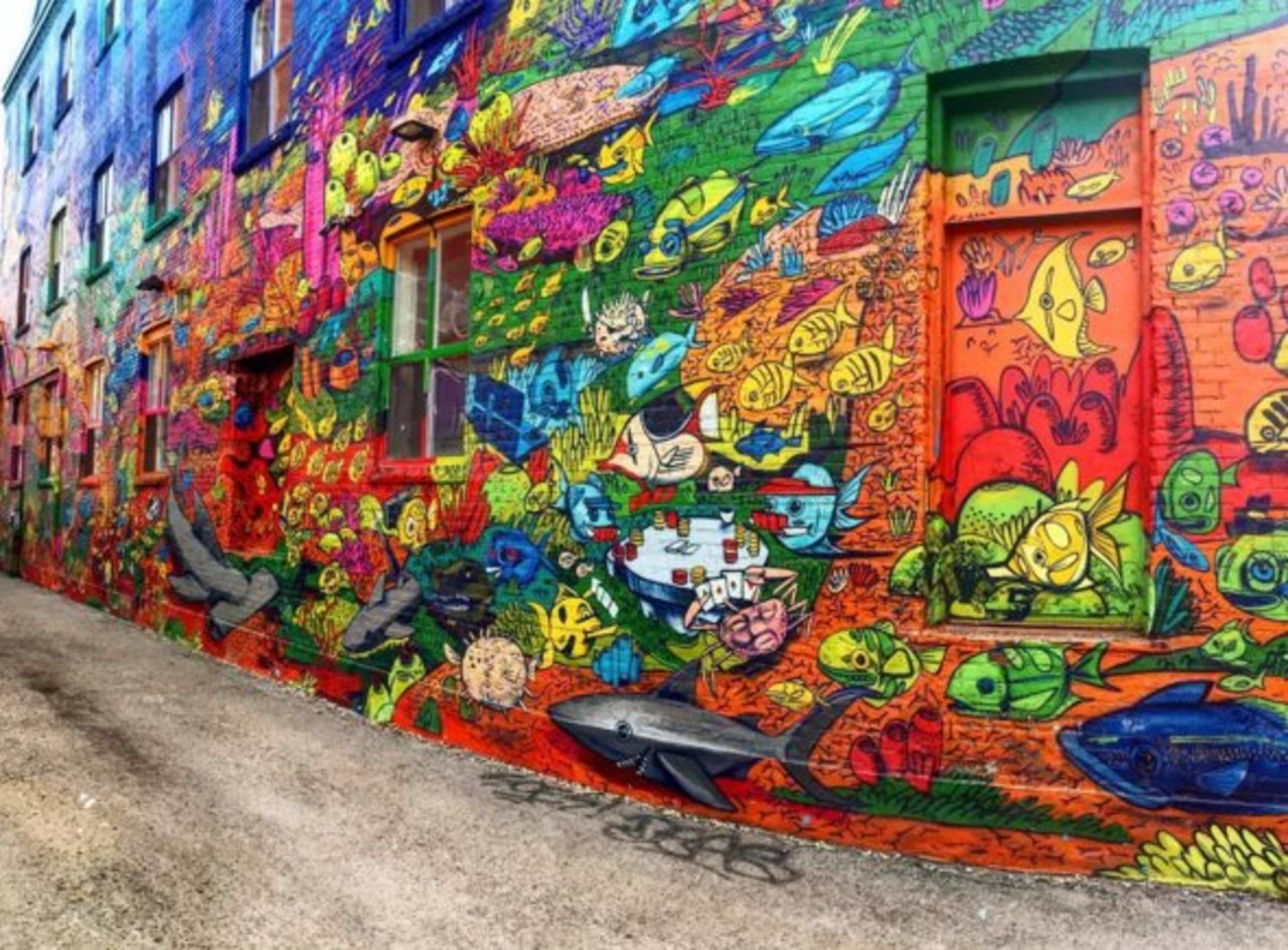 #Toronto's #graffiti alley is just one of the must-sees in this vibrant city. Your colorful 3-day tour: http://bit.ly/2w6BGWB #streetart https://t.co/o32WxkM7EE