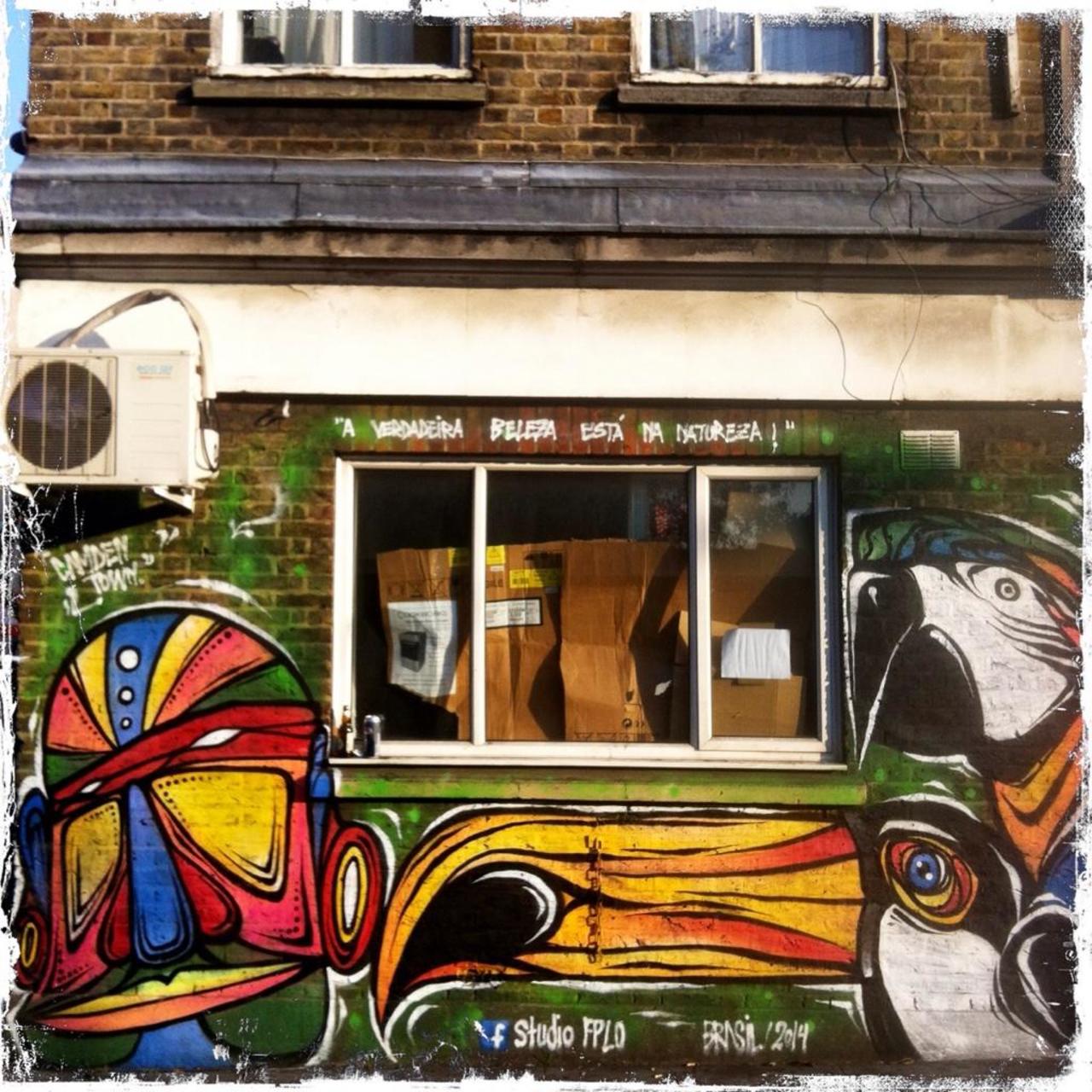 Not often you see a toucan in London!

Lovely @studiofplo Streetart in Camden 

#art #graffiti @streetart_ldn http://t.co/DMmkDkGaoS