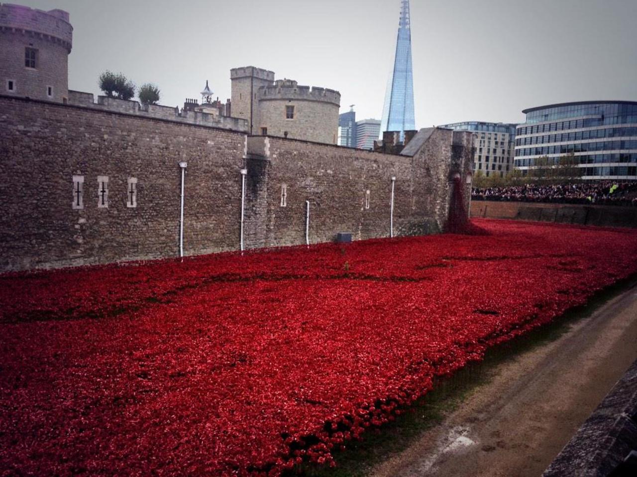 Incredibly powerful art installation at The Tower of London! #TowerPoppies #PoppyAppeal #Poppies #seaofpoppies #art http://t.co/c5DgcayQnN