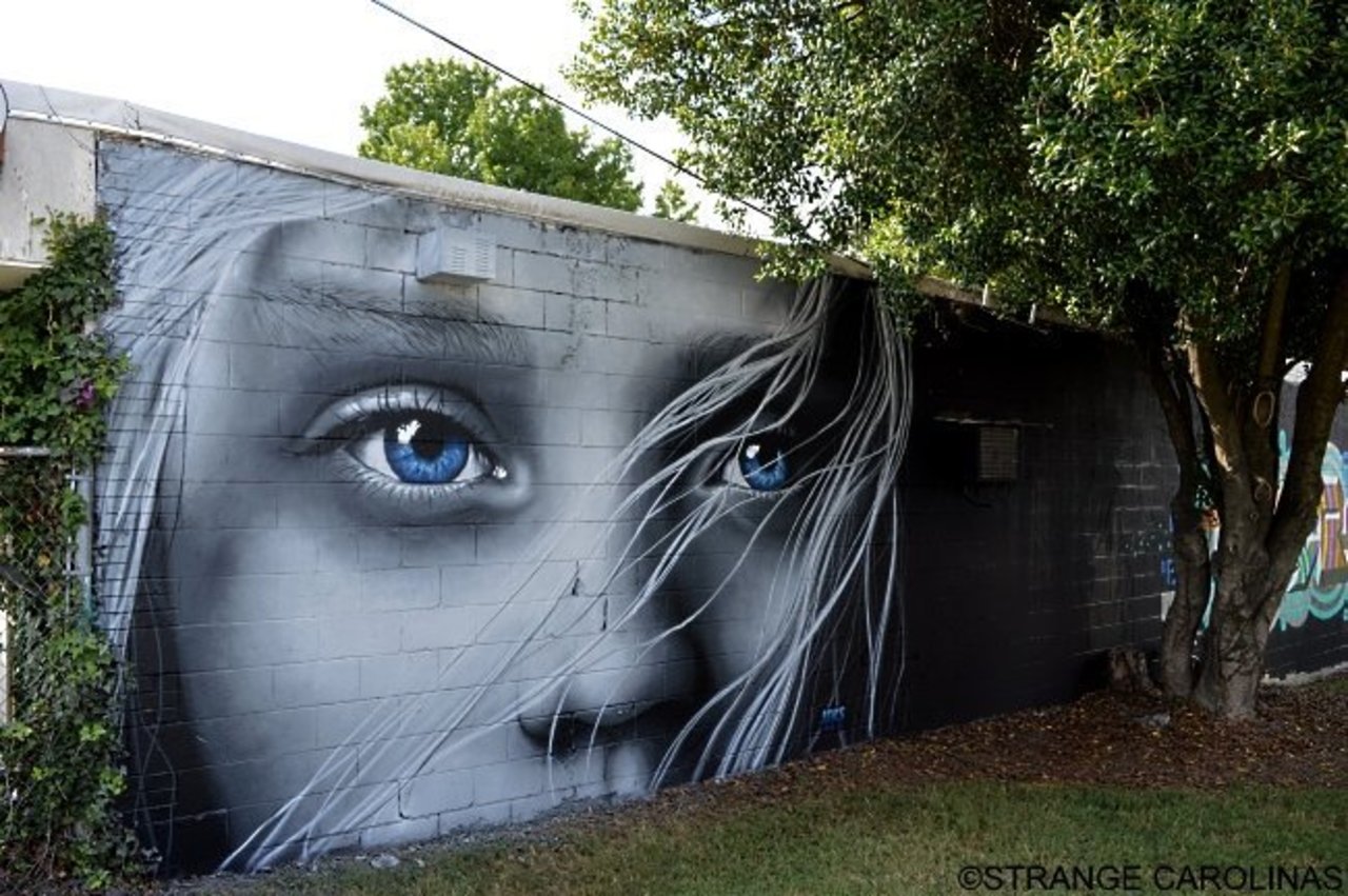 Hypnotizing Art by American artist Jeks in Greensboro, USA (A repost but so damned gorgeous..) #streetart #arturbain #arteurbano #graffiti #artderue #urbanart #senijalanan #граффити #straßenkunst #jeks #greensboro #usa  via http://strangecarolinas.com | https://goo.gl/pRctYR https://t.co/APt1OaMFz7