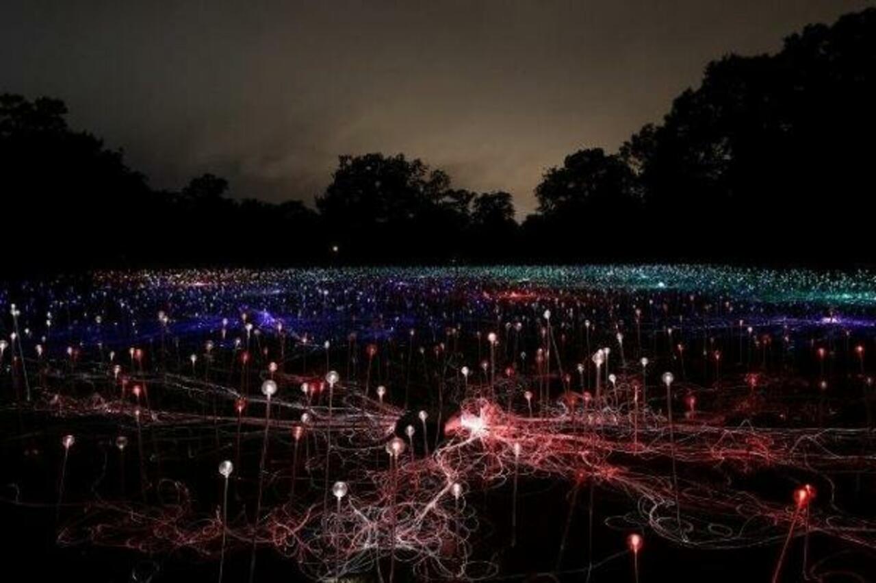 Love these beautiful #light #installations by  #British artist Bruce Munro #FieldOfLight #art http://t.co/YrovaCXDjp