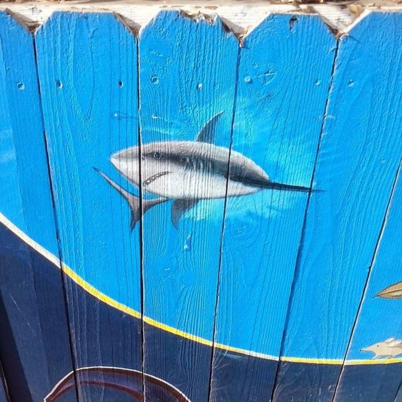 #venicebeach  #shark #graffiti #art http://ift.tt/1zeQjNT http://t.co/aOBYIJDo2i