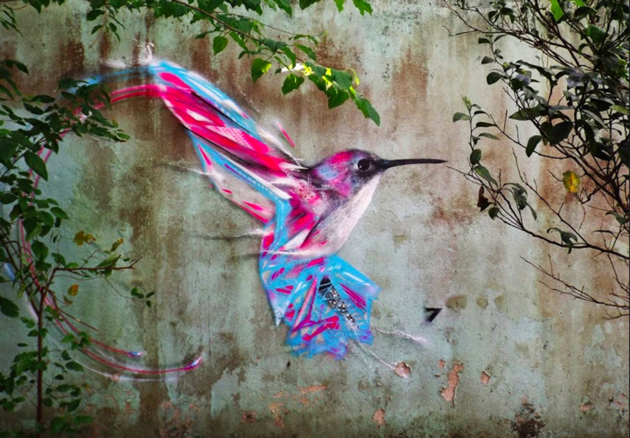 via @robertsnickc

#Streetart by L7m #SaoPaolo #Brazil #art #birds 

http://t.co/4Agw45nQTu