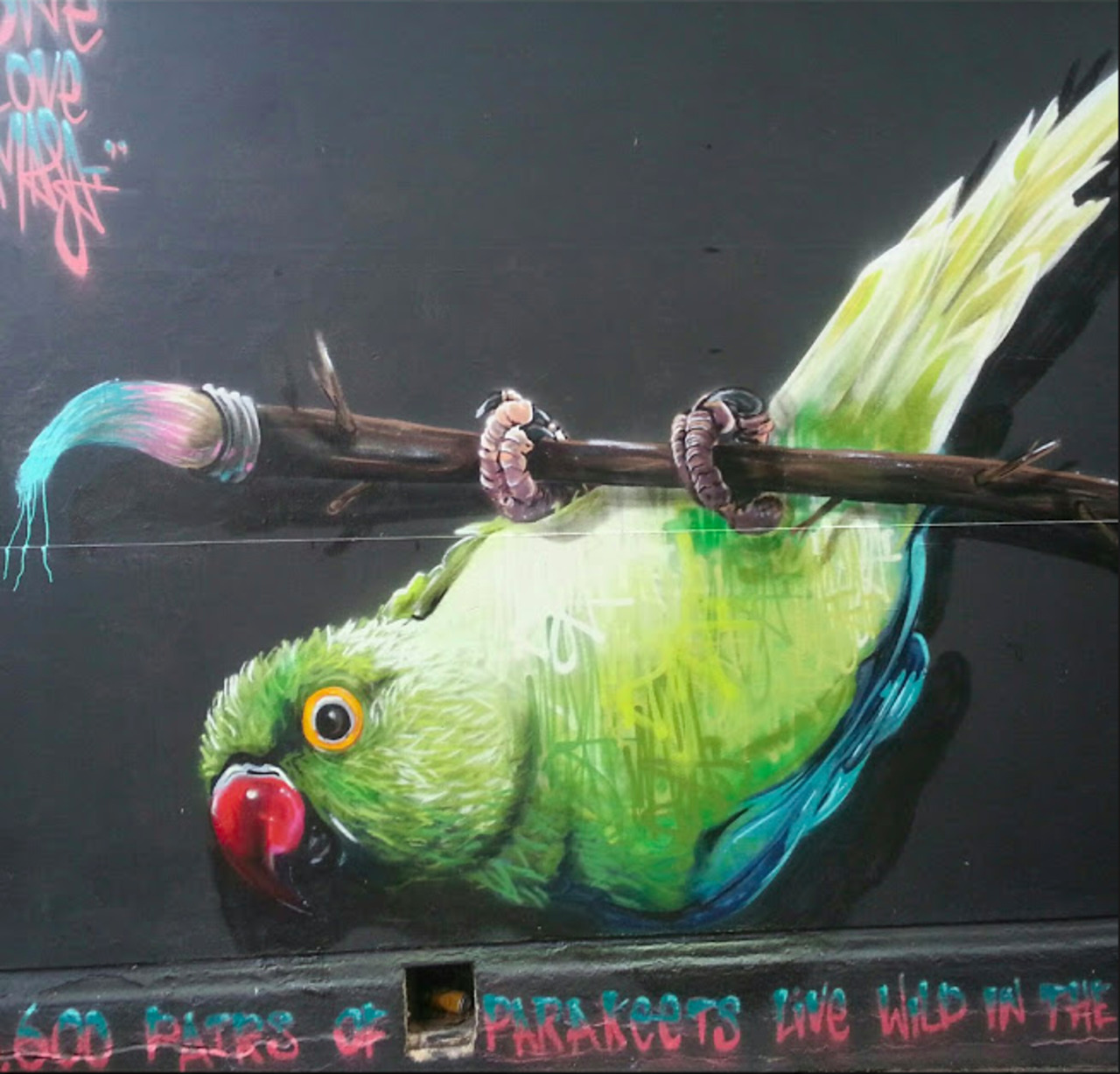 #Streetart in #London #art #parakeets 
https://plus.google.com/u/0/communities/110555863698582336481 http://t.co/WIYezx6M4E
