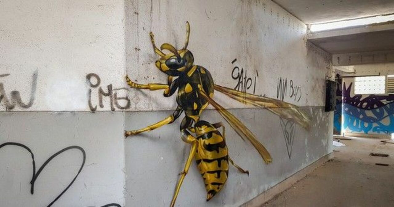 Not your usual #graffiti #video #bugs #art https://buff.ly/2w7DBHf https://t.co/cWz5LNOvhM