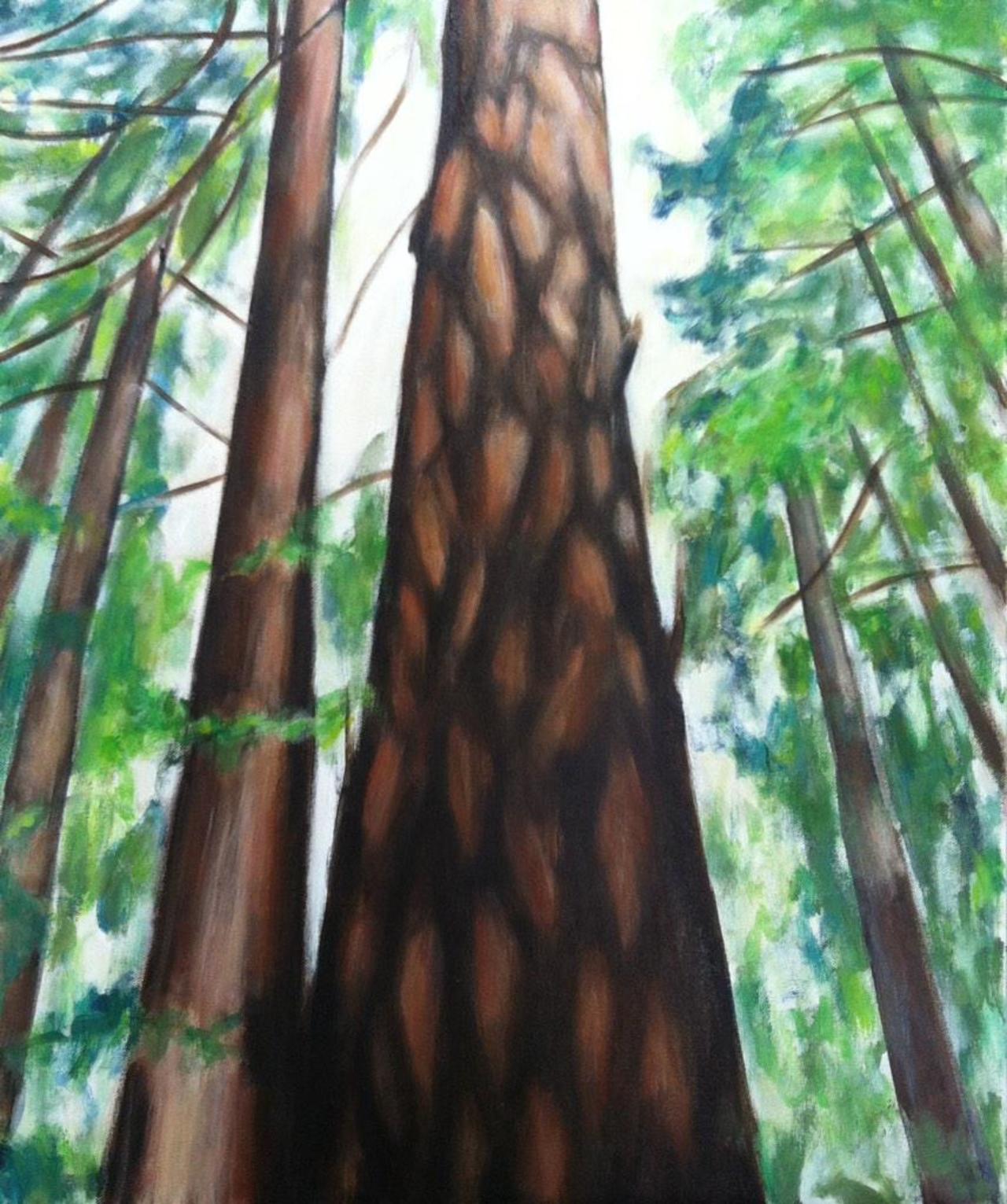 #Redwood #Forest by #janelhouton #allart #painting #Gallery #marin #california #Boston #museum #contemporaryart #art http://t.co/htKovvFmRX