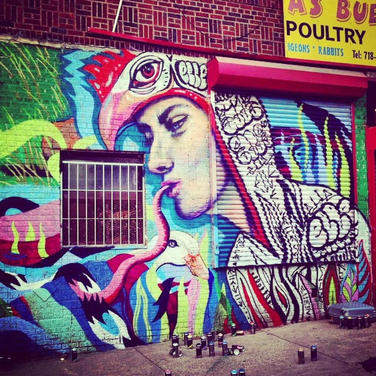Elle #graffiti #graffitiart #urbanart #muralart #mural #murales http://t.co/j7caPD3JbR