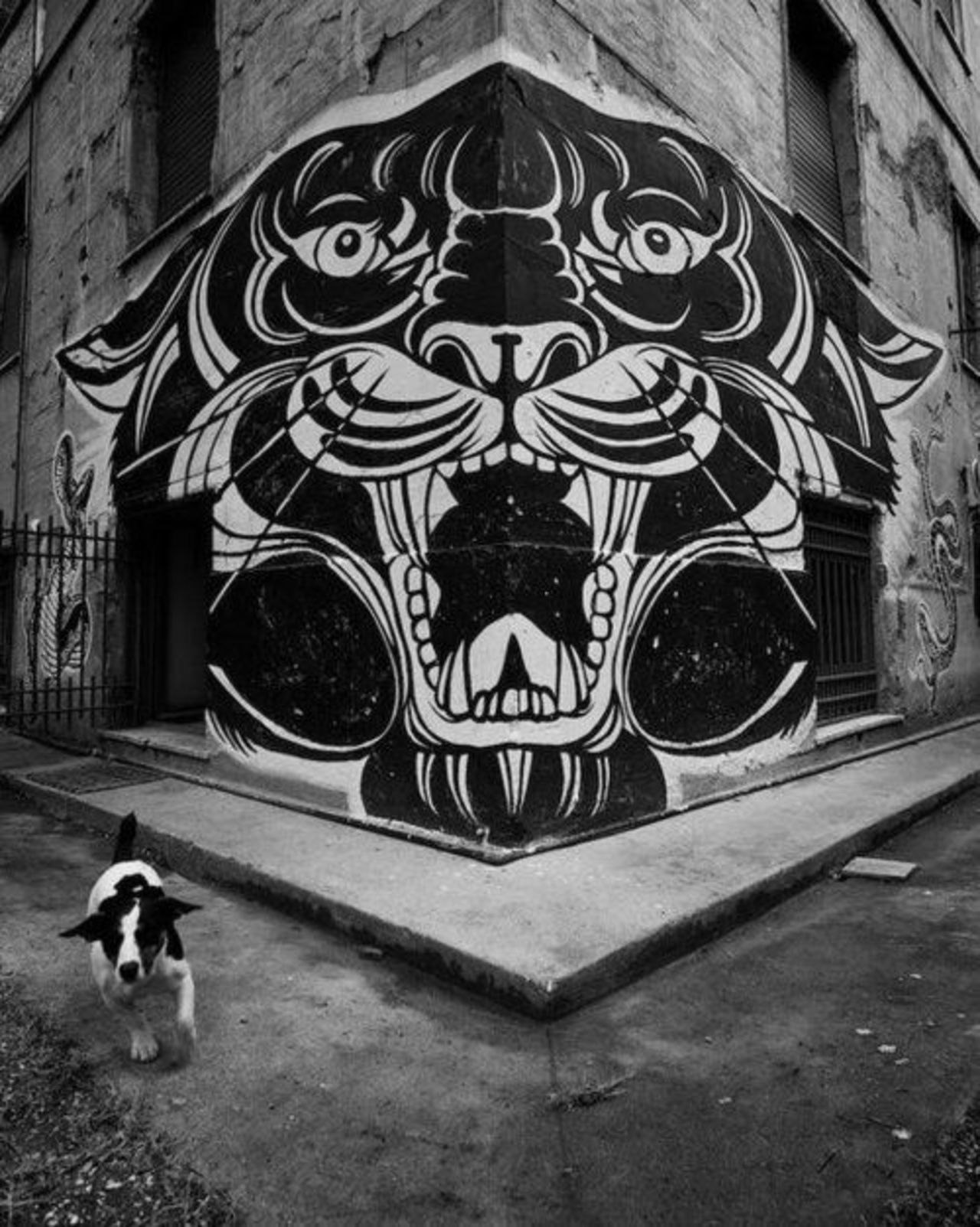 #streetart RT @StreetArtBuzz "Artist unknown #graffiti #mural http://t.co/8y9Z92oolr" http://ow.ly/I8BbG
