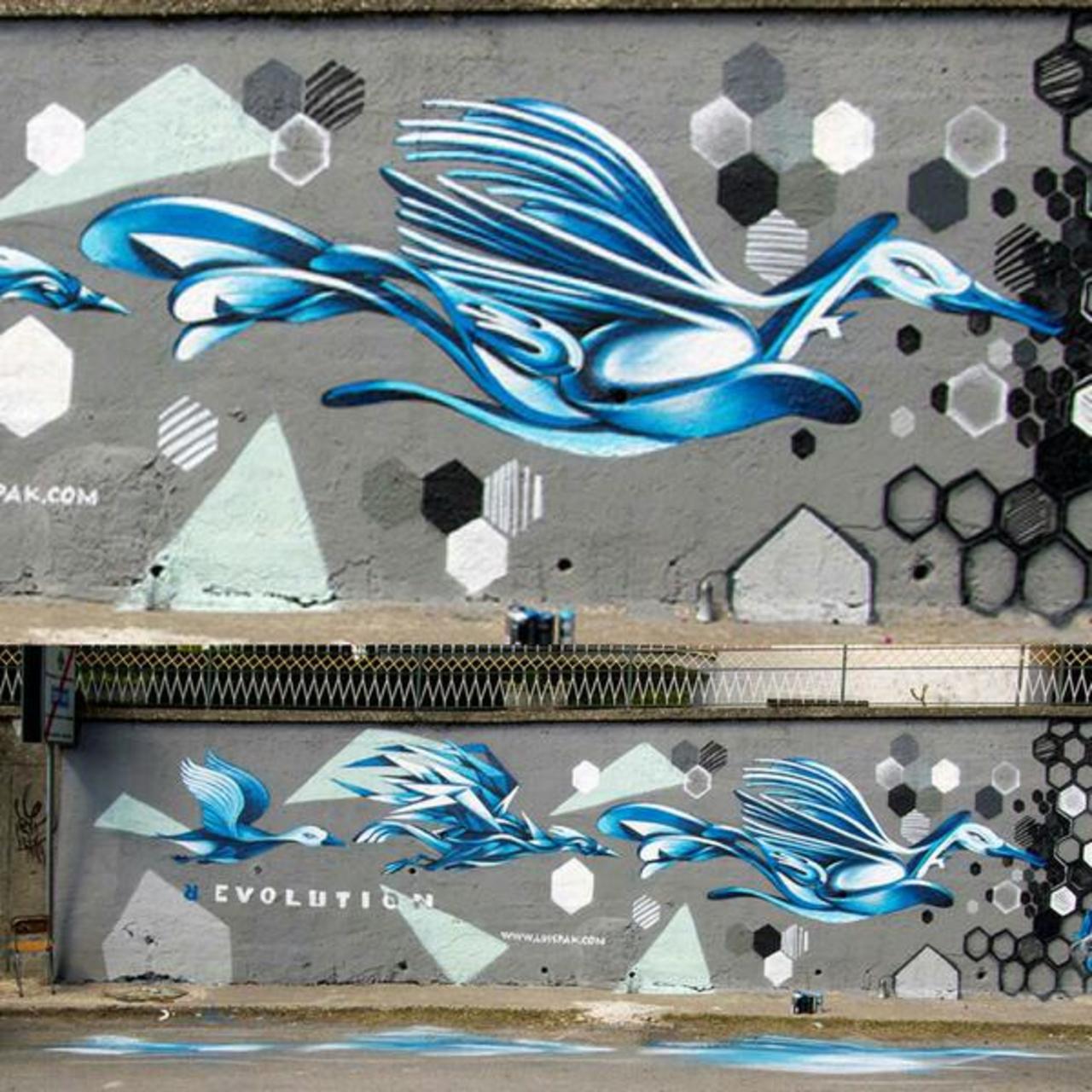 Vuela lejos.
Artista: LuisPak
Italia
#art #streetart #mural #graffiti http://t.co/i7wdrYCX9T