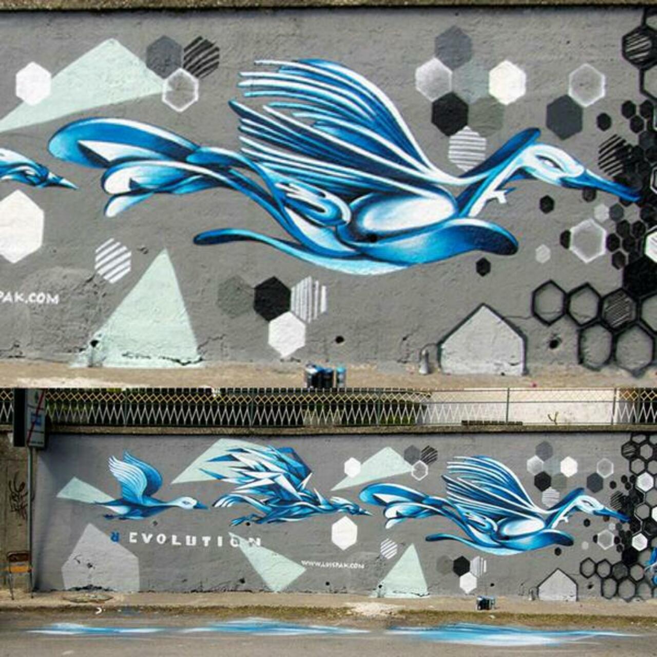 RT “@iIusionOptica: Vuela lejos.
Artista: LuisPak
Italia
#art #streetart #mural #graffiti http://t.co/PGwBt7oRMy”