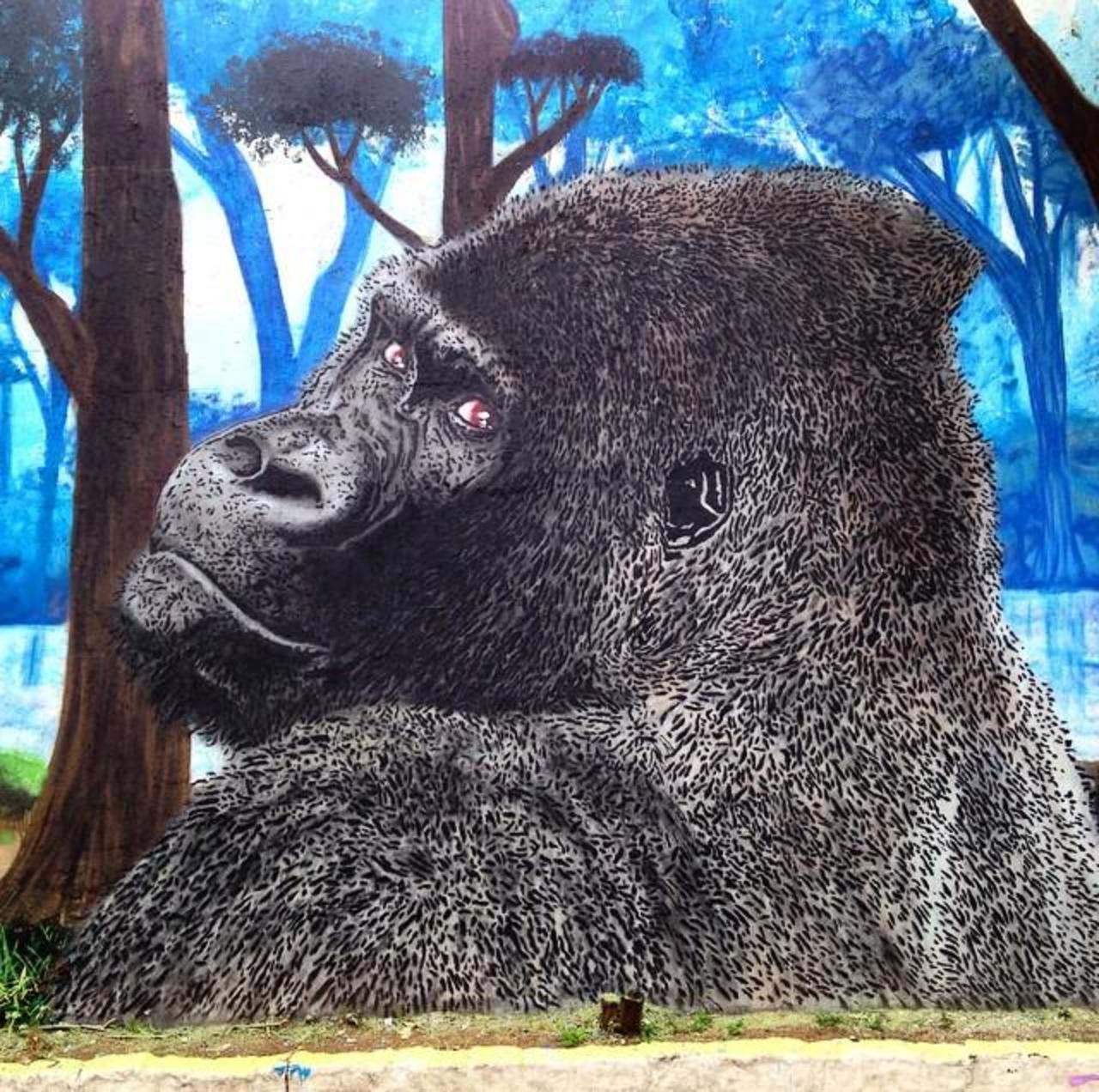 Superb Nature in Street Art piece by Thassio in São Paulo, Brazil  

#art #mural #graffiti #streetart http://t.co/ZsxzqgrLQv