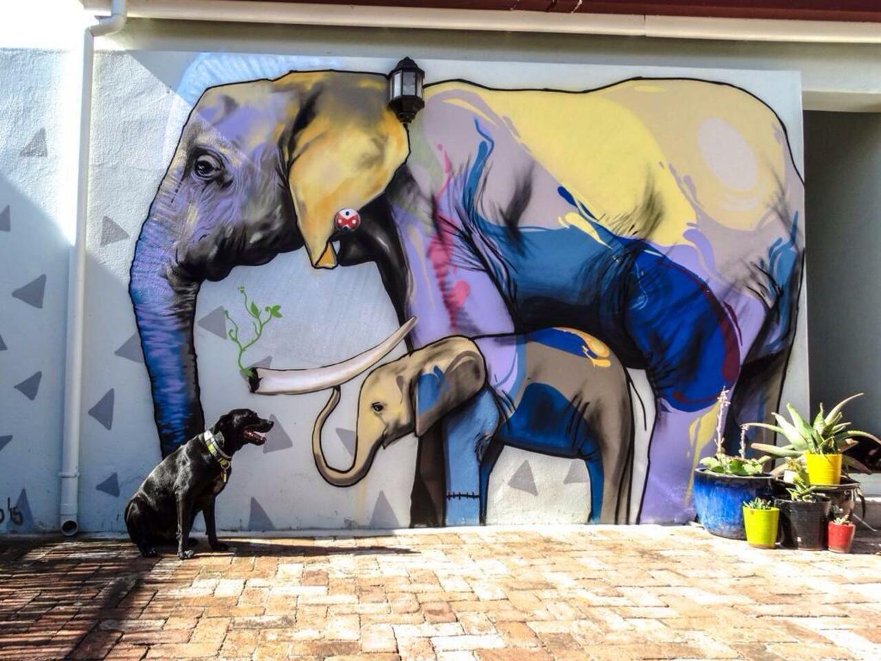 Latest nature in Street Art piece by Falko Paints In Cape Town

#art #mural #graffiti #streetart http://t.co/TqNVoEaHvg