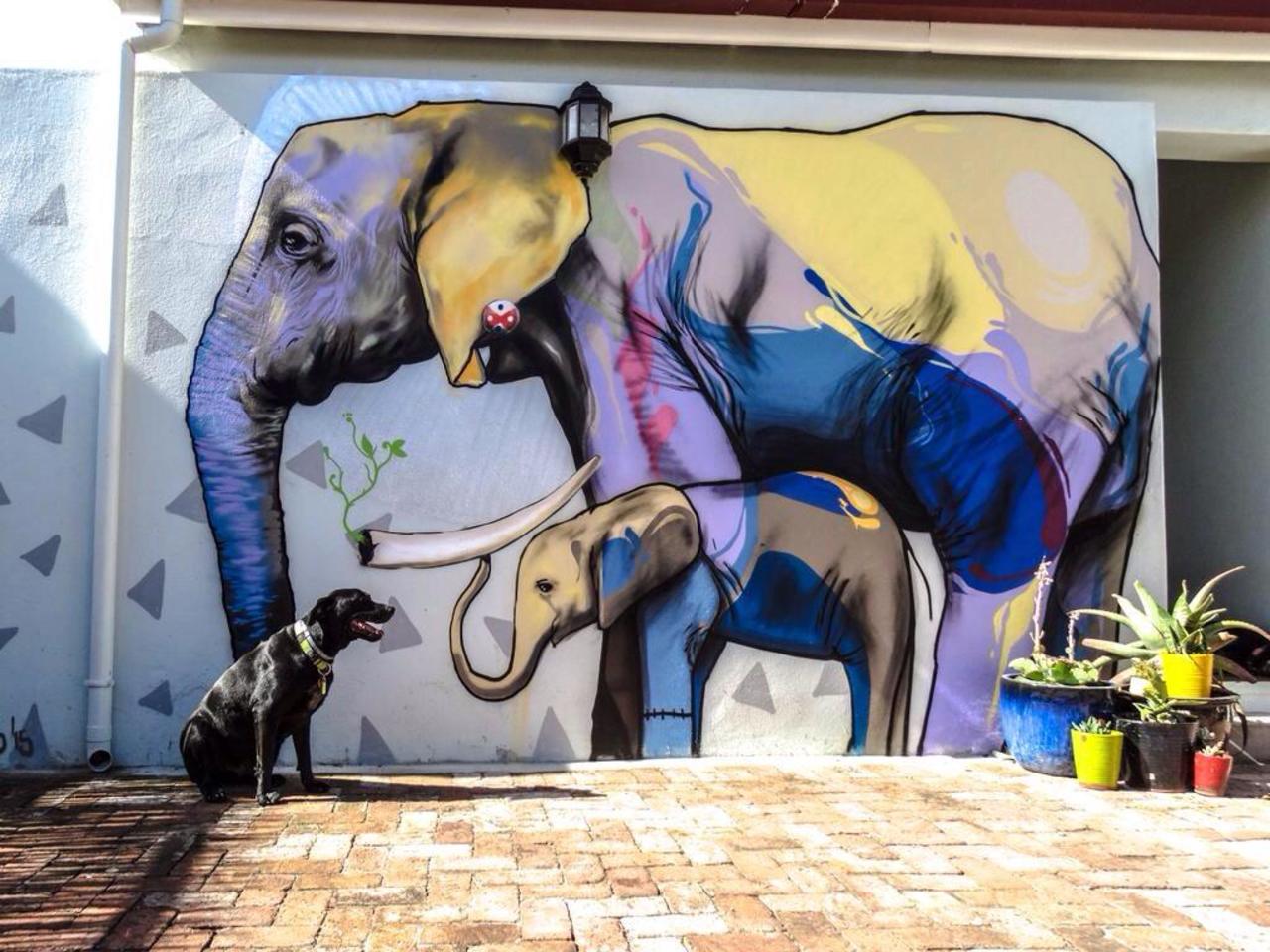 #Elephant Latest nature in Street Art piece by Falko Paints In Cape Town
#art #mural #graffiti #streetart http://t.co/ETLJmZkLea”