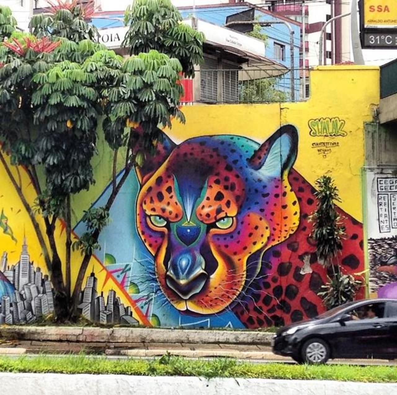 Artist ShalakAttack beautiful & colourful nature in Street Art piece in São Paulo 

#art #graffiti #mural #streetart http://t.co/5rZHvhyPXU