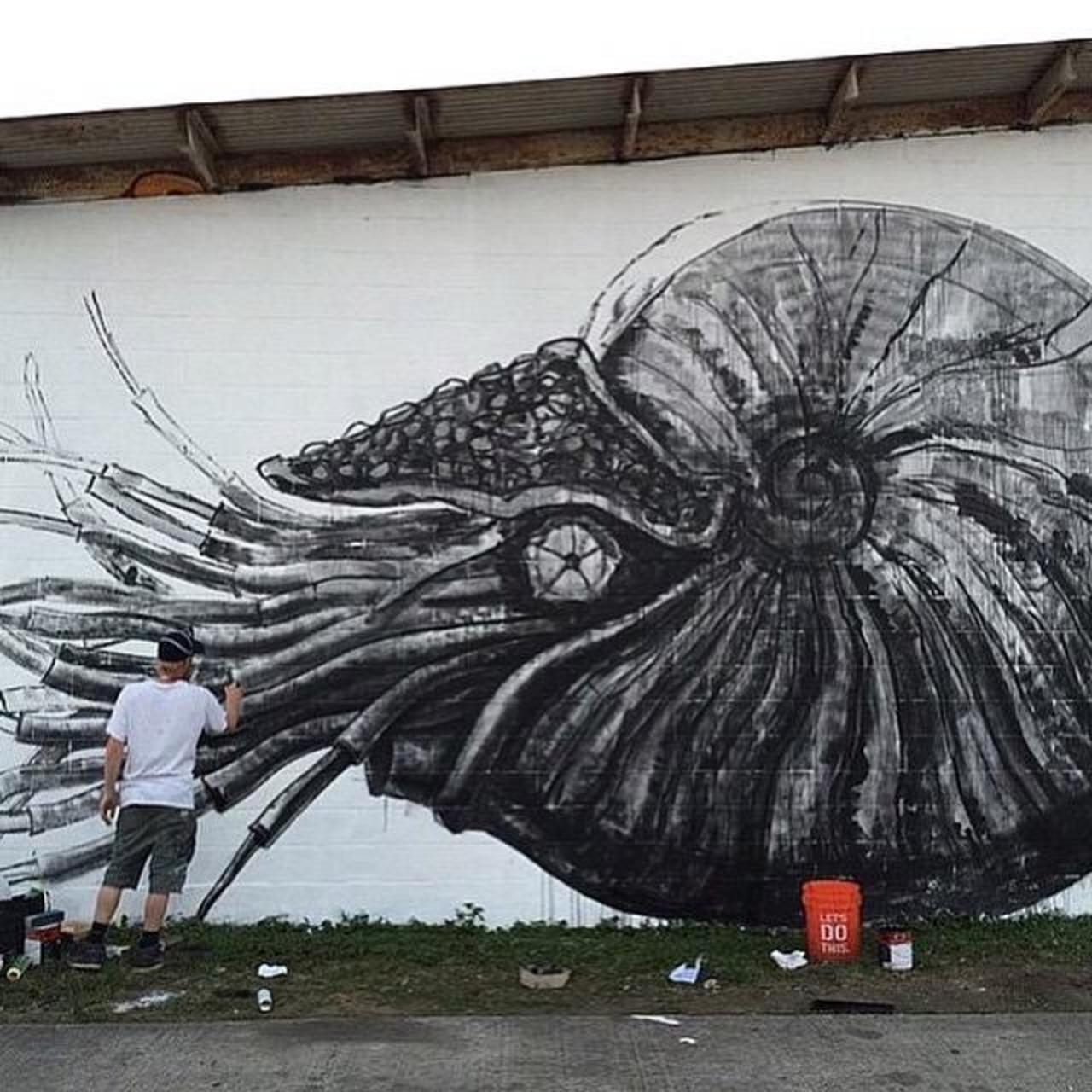 Let @POWWOWHAWAII begin! Master #Roa at work on his #mural #powwowhawaii #Graffiti #streetart #urbanart http://t.co/lOQTeZAJws