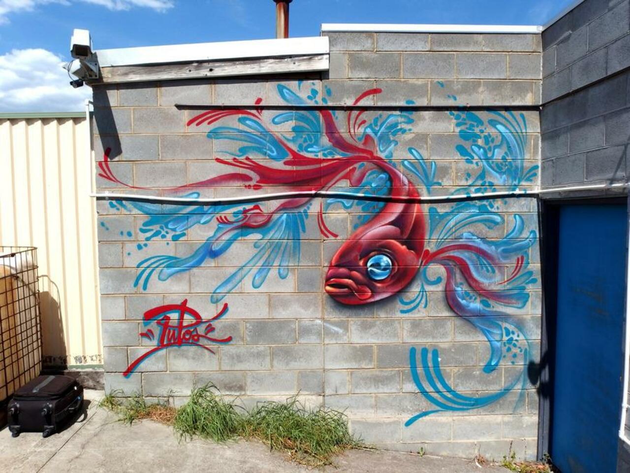 Streetart by Putos in Australia (http://globalstreetart.com/putospaint  )

#streetart #urbanart #mural #art #graffiti http://t.co/Y9fWimNsAf