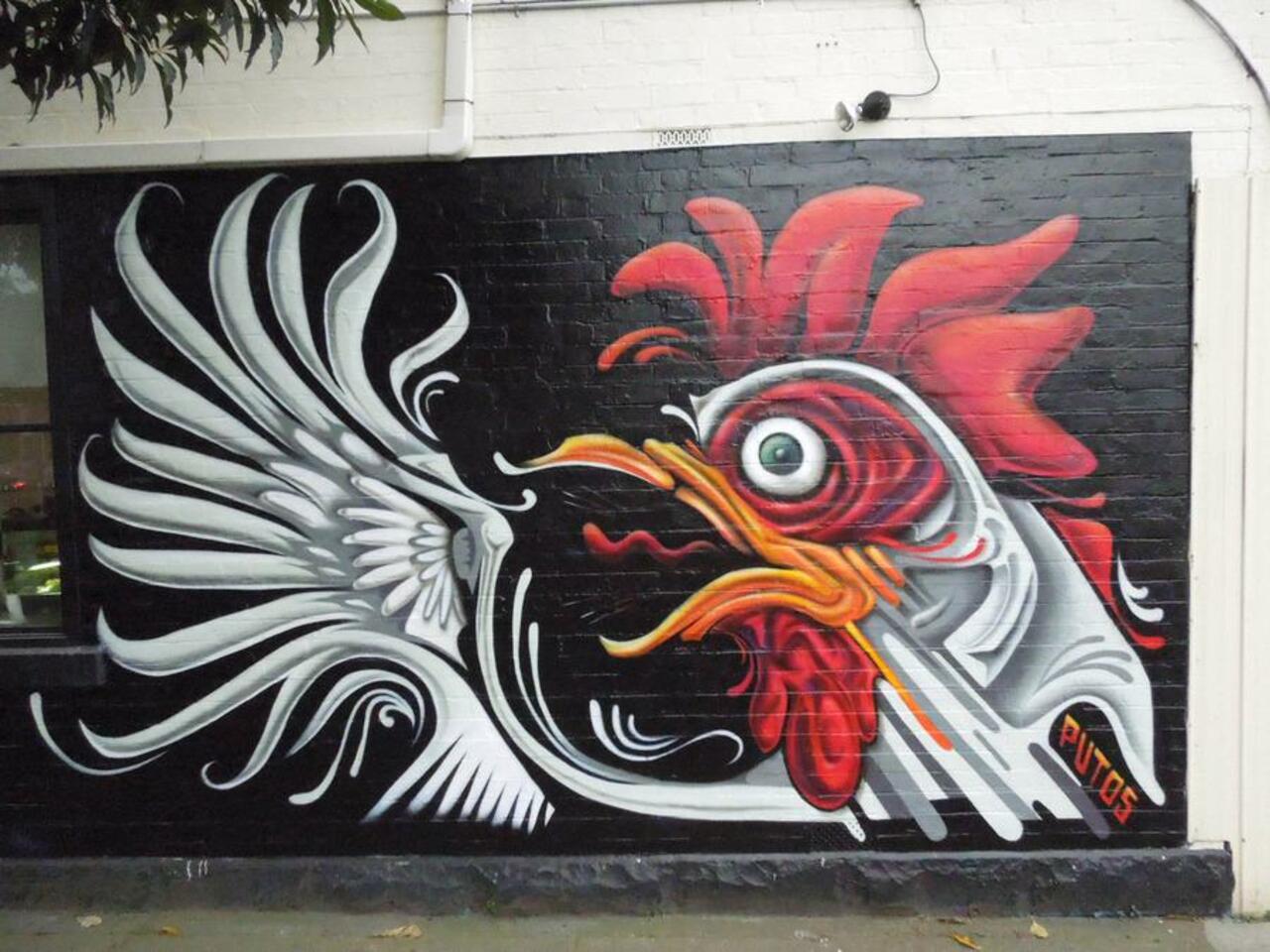 Streetart by Putos in Australia (http://globalstreetart.com/putospaint )

#streetart #urbanart #mural #art #graffiti http://t.co/j1Ofi3PwBd