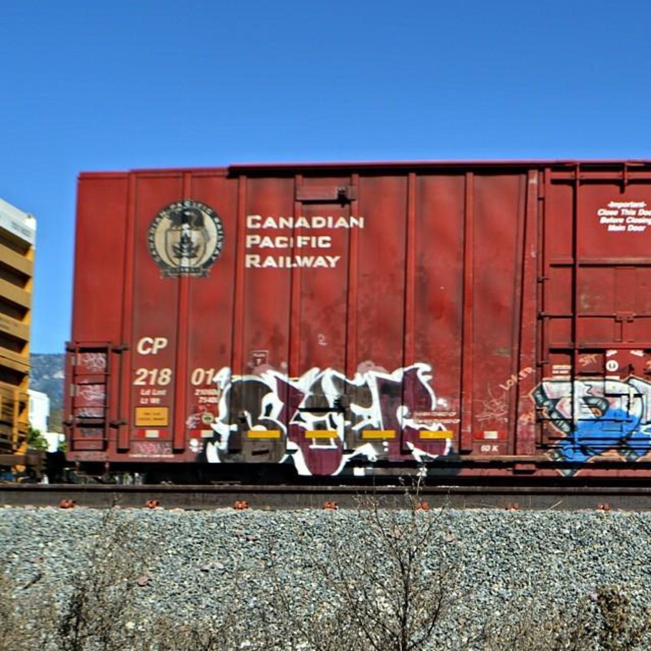 #graffpics #graffiti #BLIEF #benching #trains #freights #boxcar #art #paint #spraypaint #graff #graffiti #yepyep by… http://t.co/uw11H41xvn