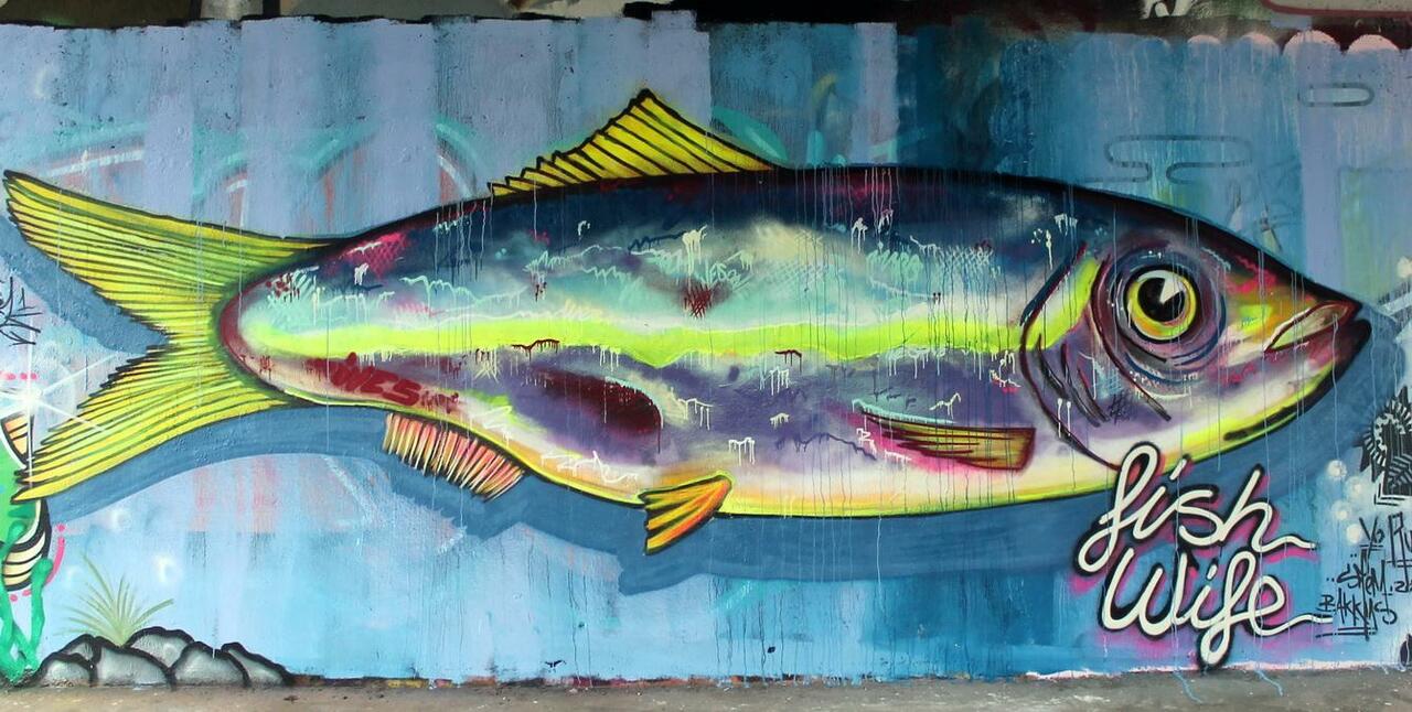 #streetart #graffiti #mural Big fish(wife) in  #Amsterdam, 3 pics at http://wallpaintss.blogspot.nl http://t.co/Y0O1ig7dYn