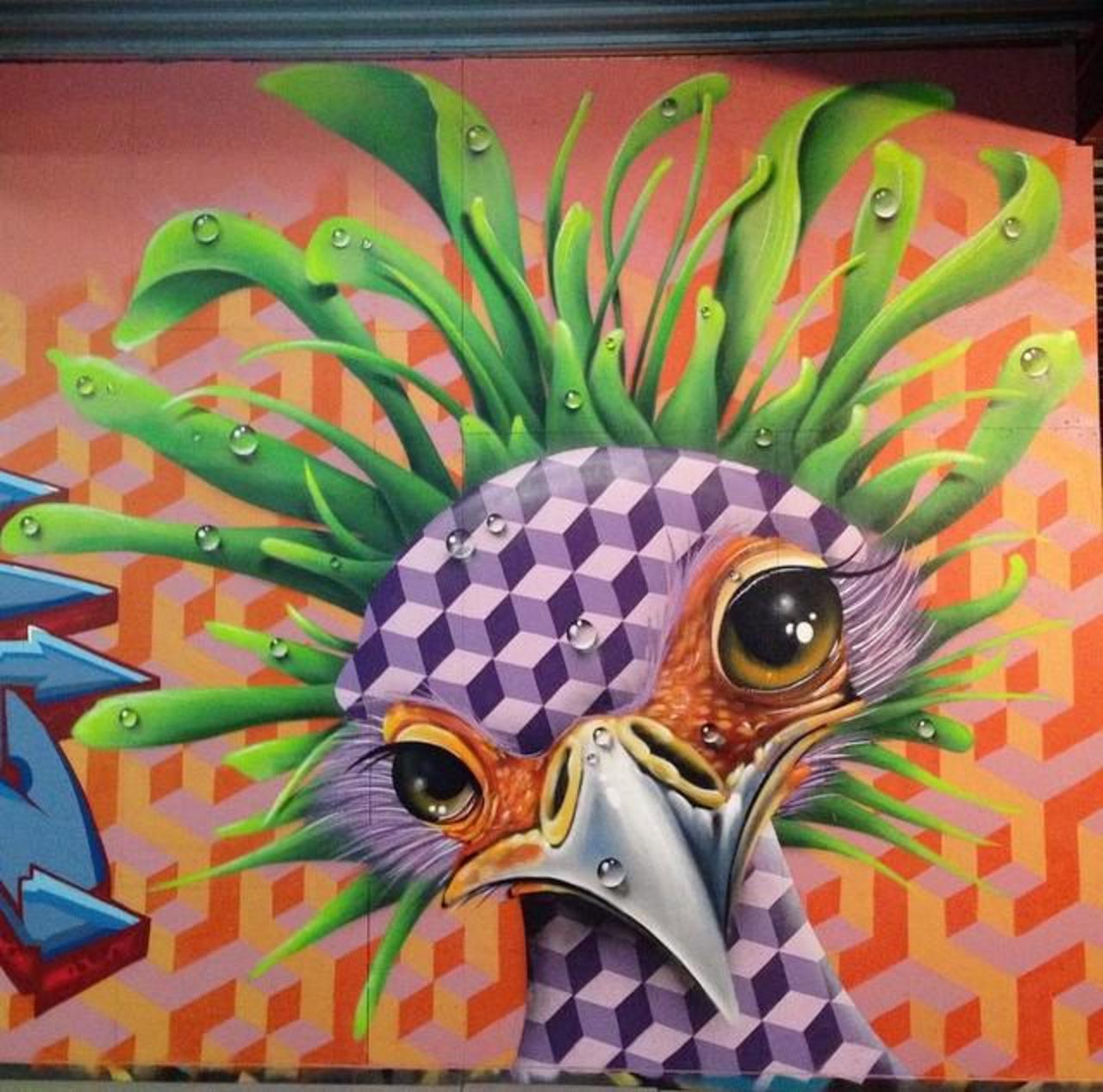 Love this nature in Street Art by artist TimTimmey 

#art #mural #graffiti #streetart http://t.co/SogNL2p2oe

RT @GoogleStreetArt @5putnik1