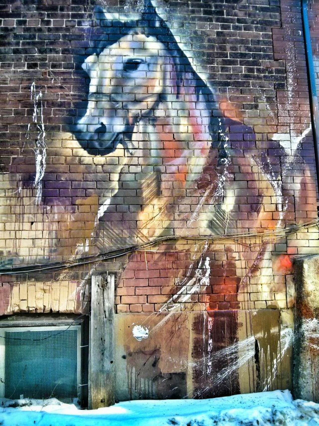 Painterly horse, Parkdale, Toronto.
#graffiti #mural #urbanart #streetart http://t.co/GC6W0KnUfA