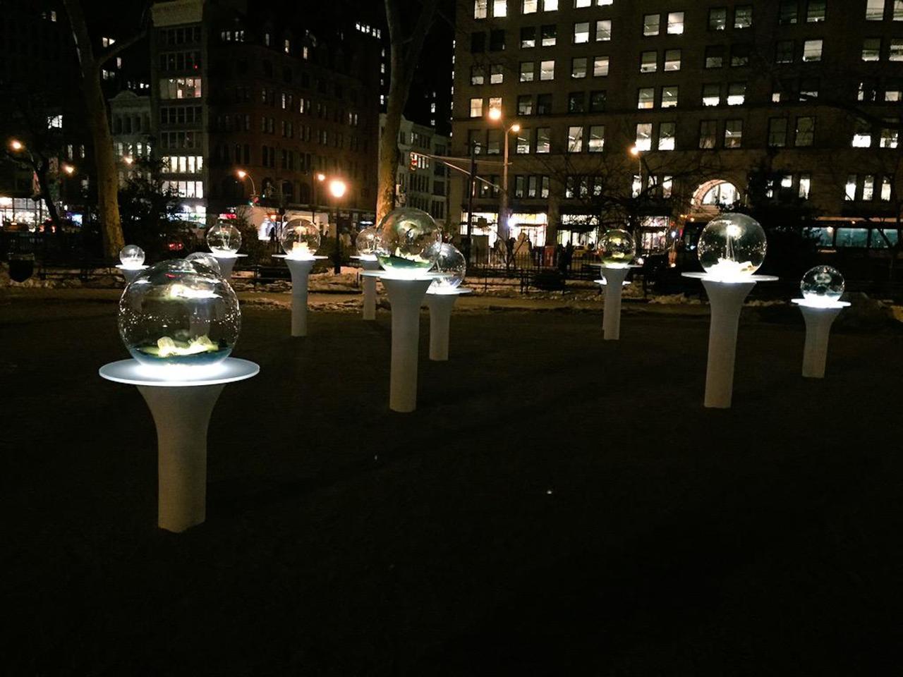 Awesome installation in @MadSqParkNYC #nycart #art http://t.co/ZlkYhJepAD