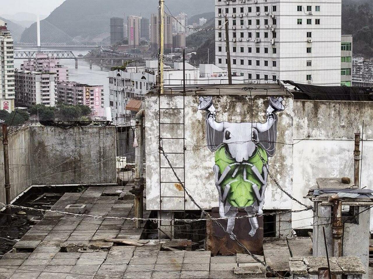 Streetart by Ludo in China

#streetart #urbanart #mural #art #graffiti http://t.co/FqbtZtpe8e