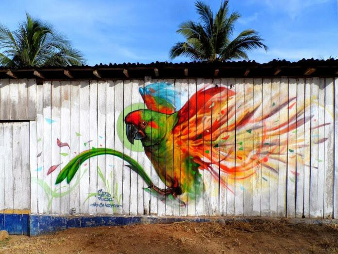 Farid Rueda
Michoacán, Mexico
#streetart #art #graffiti #mural http://t.co/8ojTXFjCU8