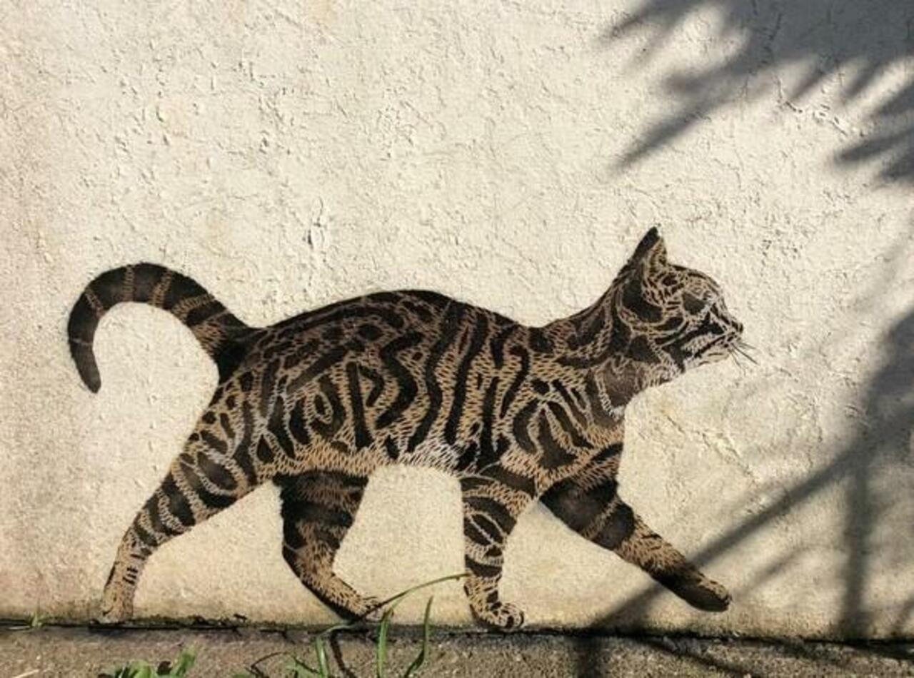 "@GoogleStreetArt: Nature in Street Art by JPS #art #arte #graffiti #streetart http://t.co/x24yhxGqcK" it looks as if it's a real kitten..