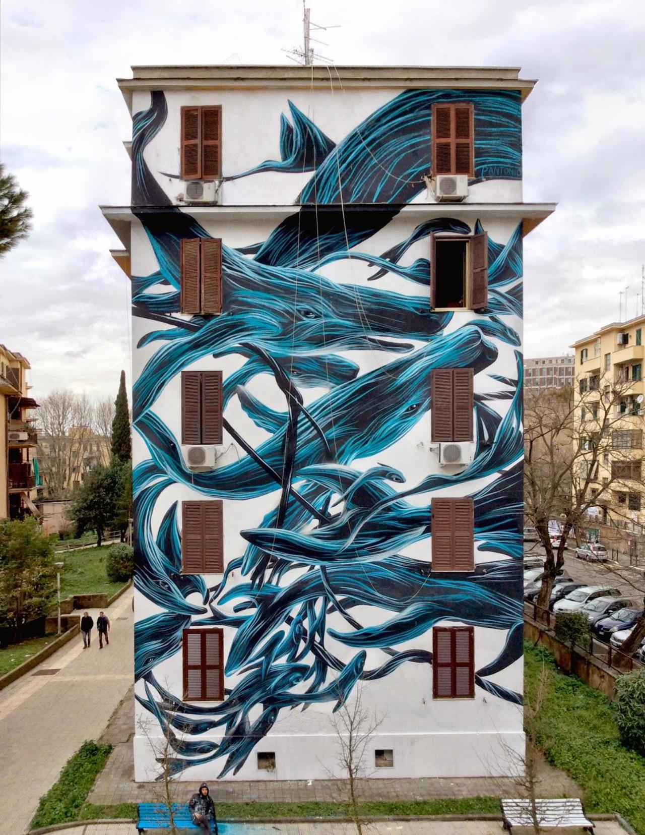 Streetart by Pantonio in Rome, Italy

#streetart #mural #art #graffiti #urbanart http://t.co/wqcoukjPuo