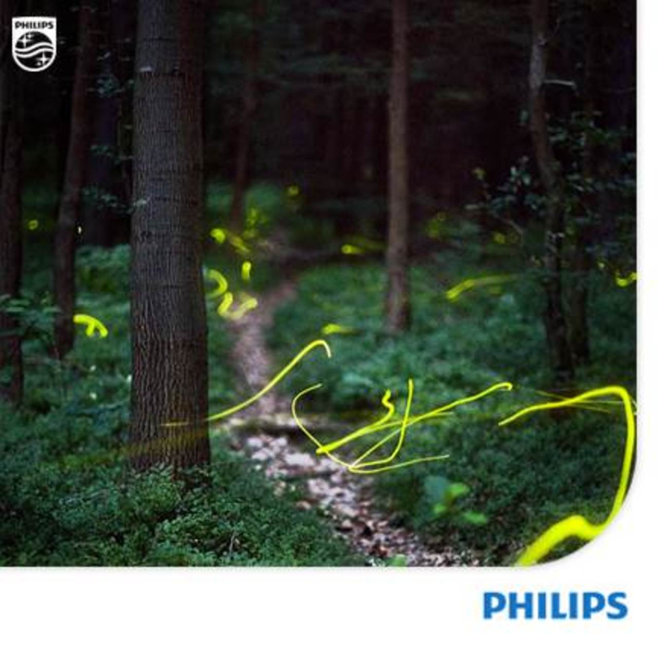 #LightArt Here’s a picture by Kristian Cvecek featuring long exposure shot of fireflies. http://t.co/qDh8Q3Aq9a