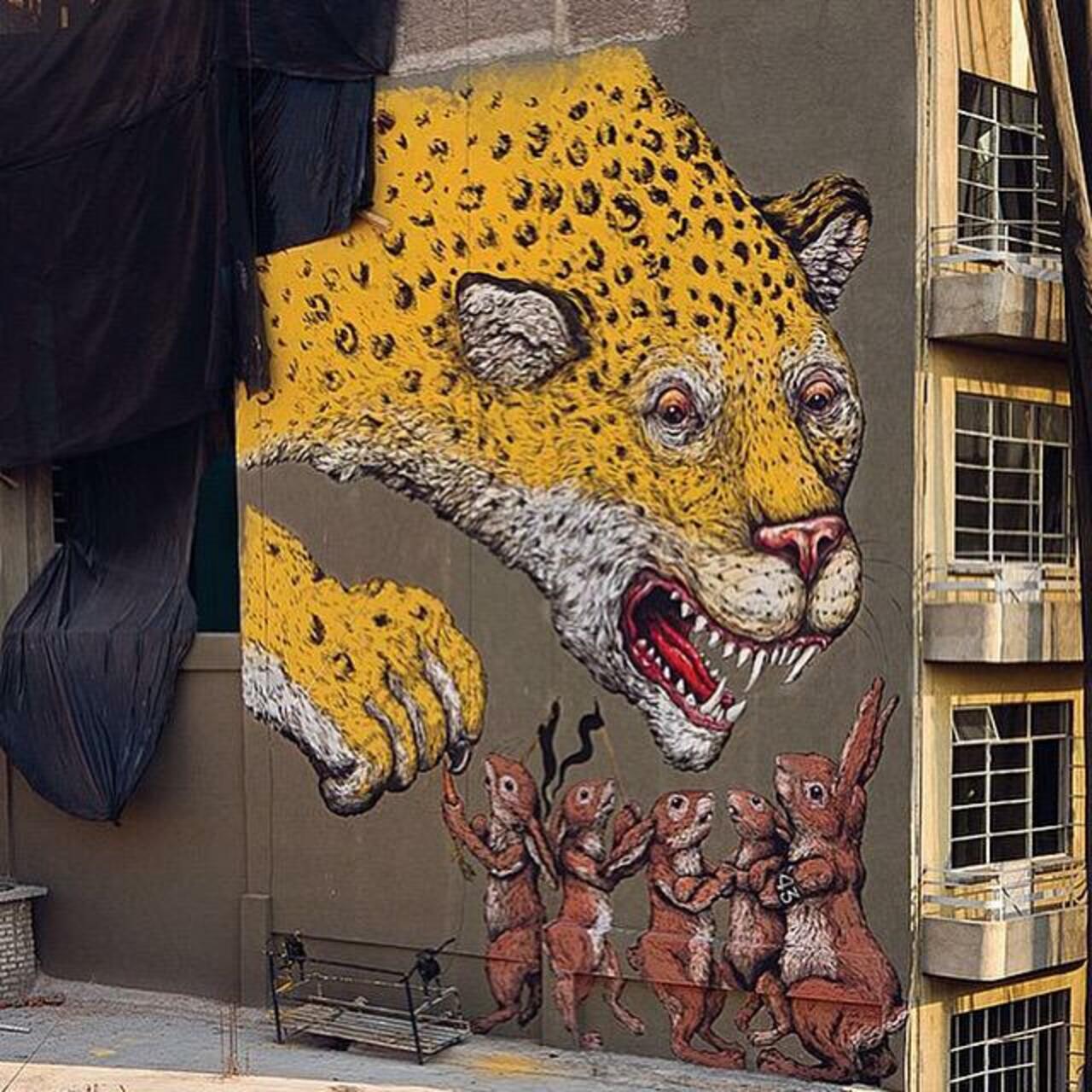 Otro #mural se #Ericailcane para #ManifestoMX en las calles del #DF #streetart #urbanart #graffiti http://t.co/0siKh40jzH
