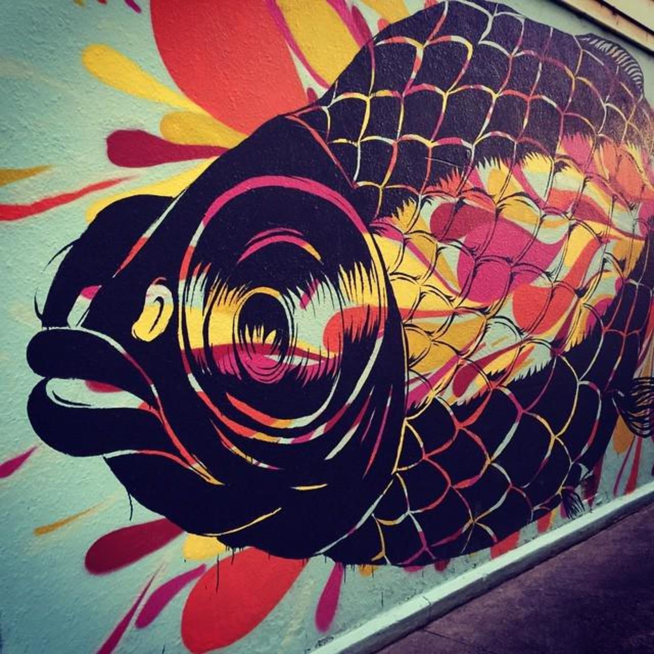 #fishy #streetart #graff #graffiti #burncity #igersmelbourne #mural #Warrnambool http://ift.tt/1FxaBpc http://t.co/QsW0GS0scX