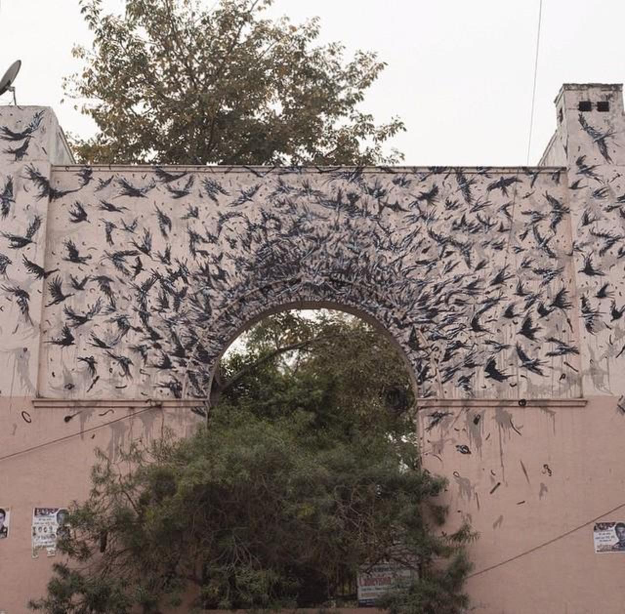 When Street Art meets Nature by DALeast in Delhi, India 

#art #arte #graffiti #streetart http://t.co/AqgDKCGQI7