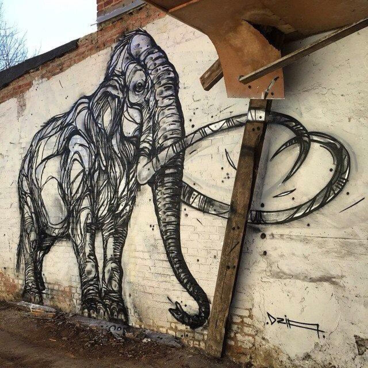 Sistemas4S: Mammoth. New nature in Street Art wall by DZIA 

#art #graffiti #mural #streetart http://t.co/il19aaOueO