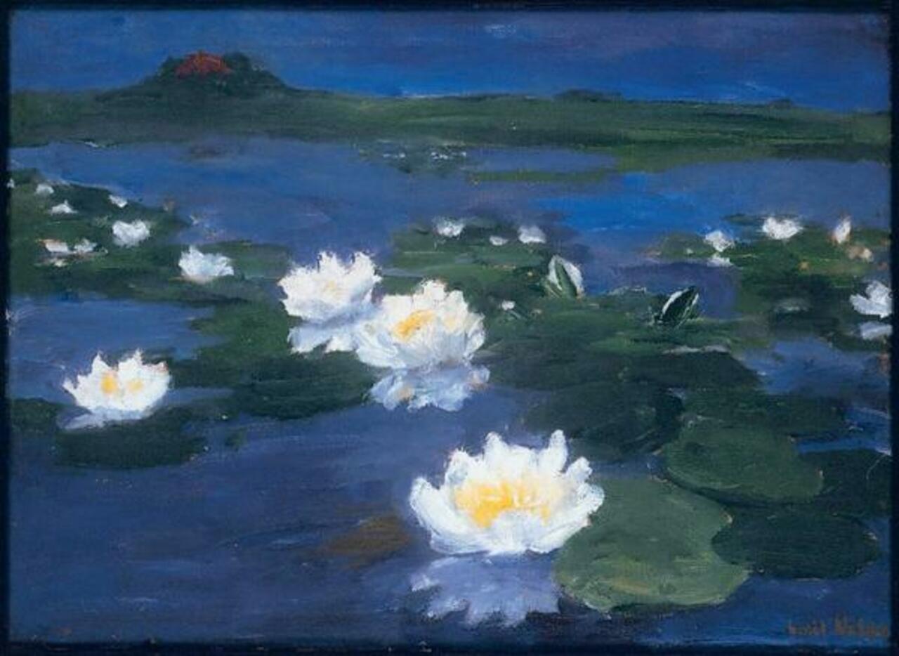 Emil Nolde  ~   "Water lilies"      #painting   #arte  #art   #twitart   #beauty http://t.co/Ciy6nGqEKK